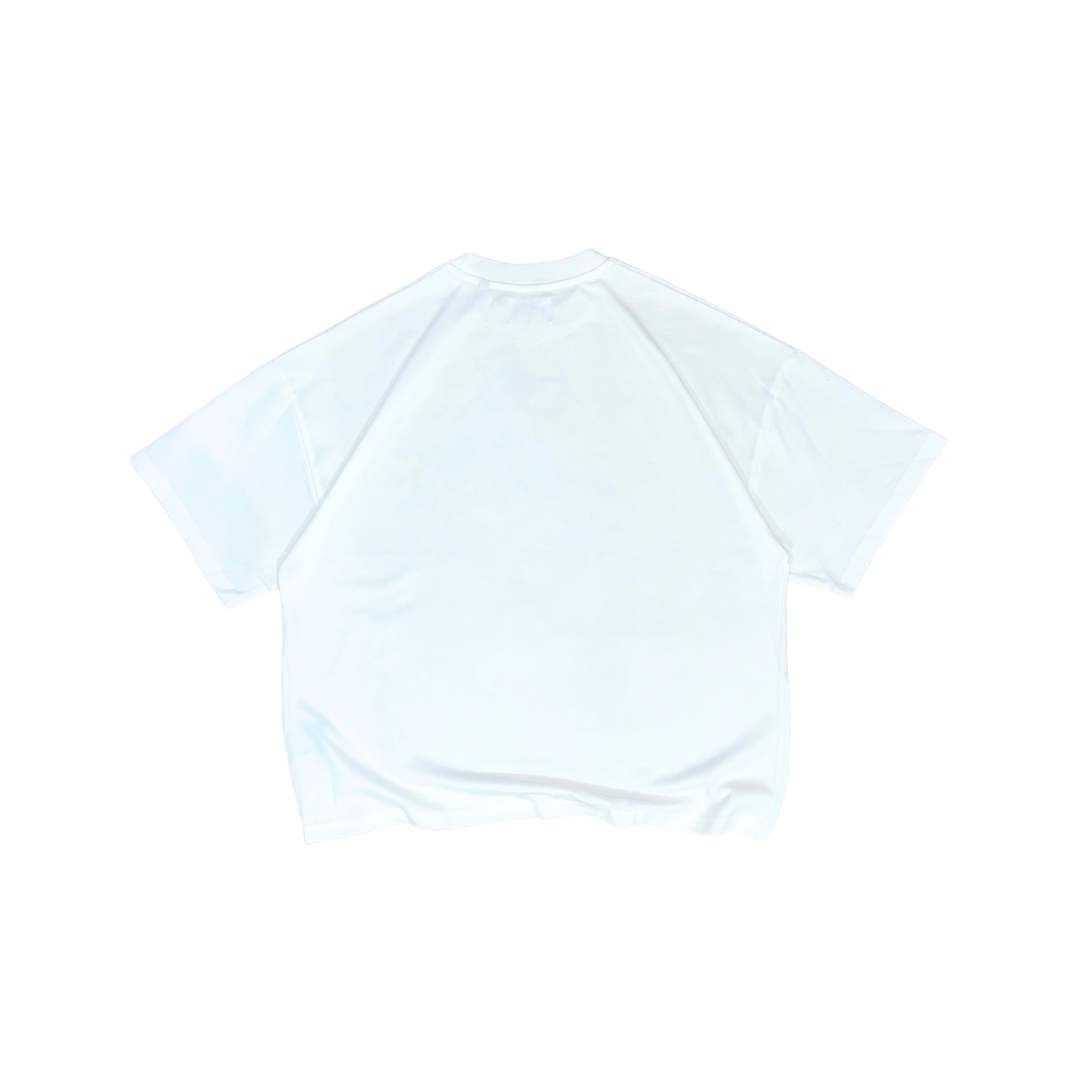 S/S-TEE042